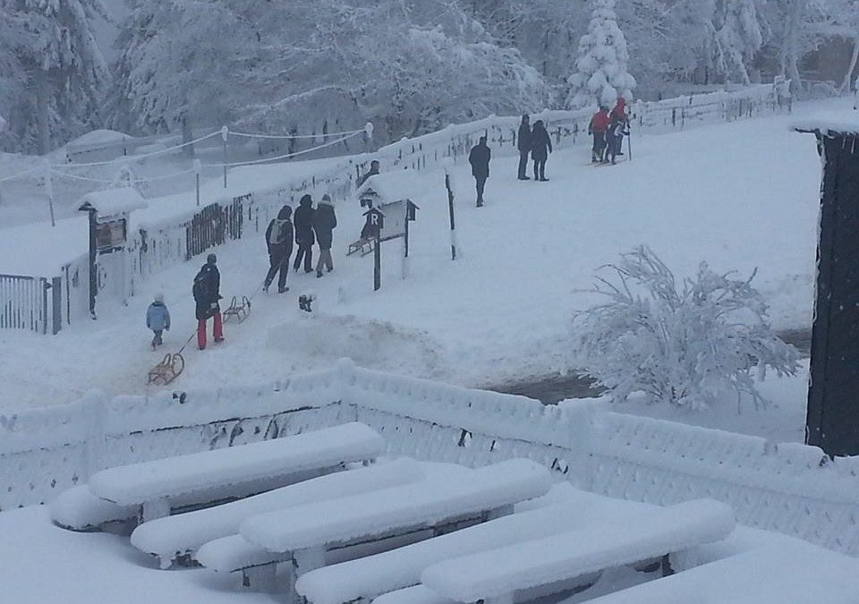Besuch des neuen Aussichtsturms